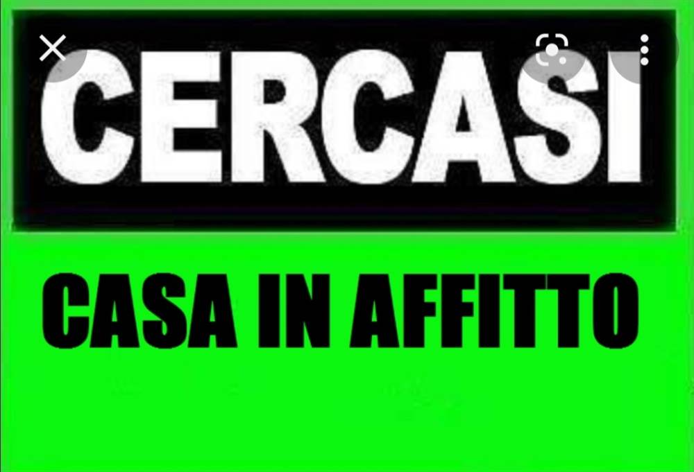 Cerco appartamento affitto Numero di locali Monolocali