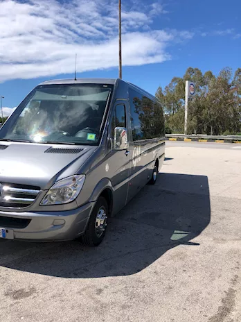 MERCEDES SPRINTER 518 DAURIA