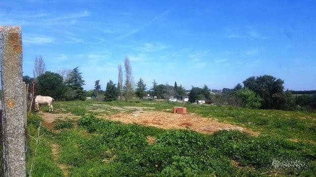 Terreno agricolo boccea