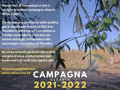 OLIO EXTRAVERGINE DI OLIVA NOCELLARA DELL'ETNA 2021/2022