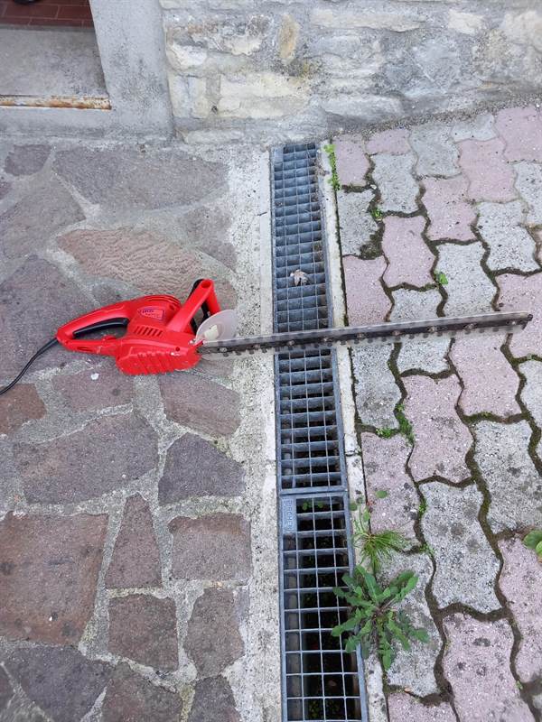 Tagliasiepe elettrica