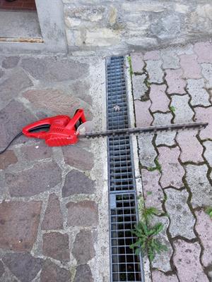 Tagliasiepe elettrica