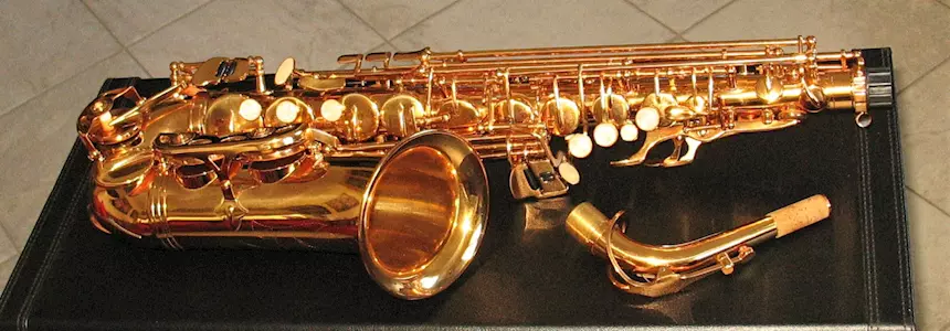 SELMER SA80 Style Sax Alto Oro Galvanico Nuovo (Garanzia), modello unbranded
