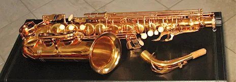 SELMER SA80 Style Sax Alto Oro Galvanico Nuovo (Garanzia)