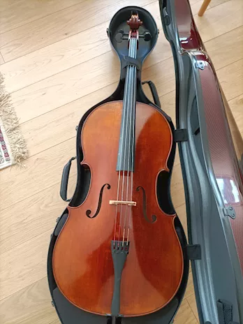 Violoncello di liuteria