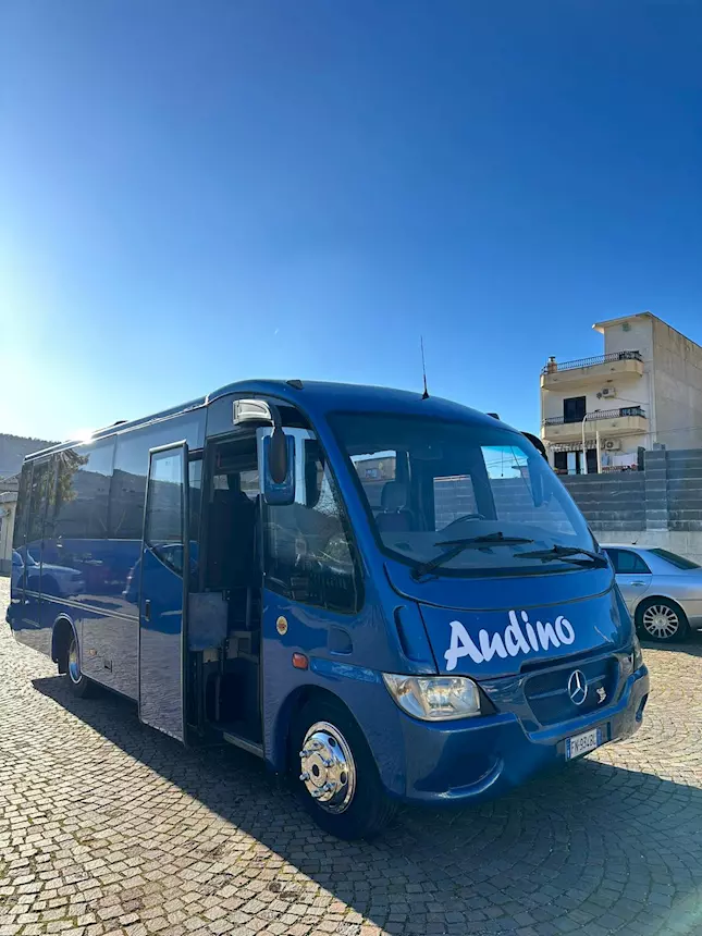 Mercedes 818 Sitcar Euro 4