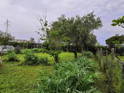 Terreno Edificabile