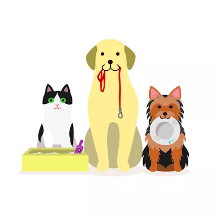 Pet Sitter a domicilio