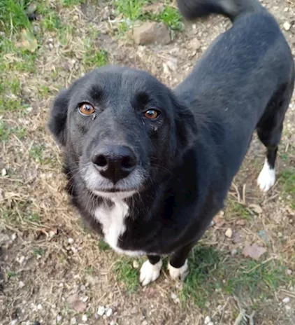 Lucy 4 anni nera scampata ad avvelenamento