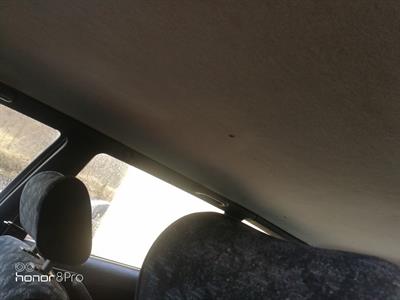 Foto - 8