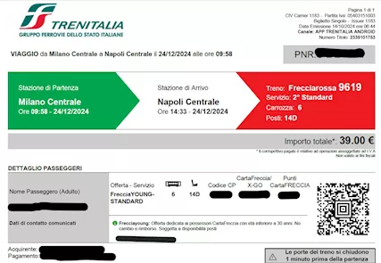 Biglietto TRENO freccia young Milano-Napoli 24/12/24 h 9:58