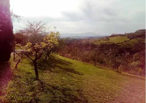 Ampia camera con bagno e giardino privato