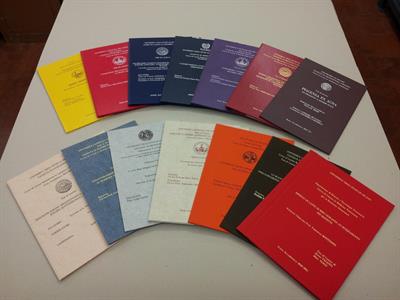 Supporto elaborazione / stesura tesi di laurea