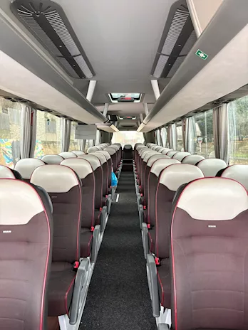 Man Lion's coach