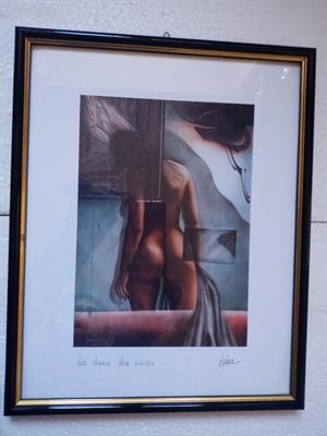 Quadri in litografia, ottimo stato - Foto 3