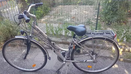 Bici Montana, city bike donna in alluminio, '28