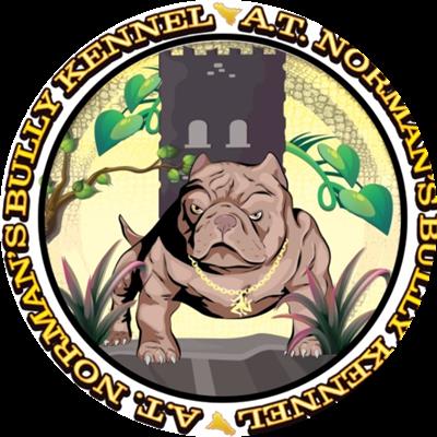 American Bully Pocket
