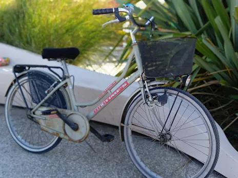 BICICLETTA DA DONNA RUOTE 24