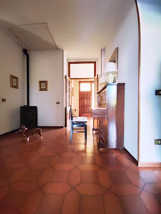 Foto - 7