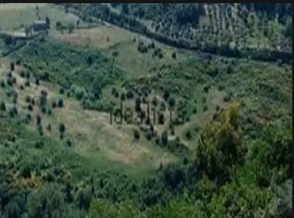 Terreno agricolo a Lattarico CS
