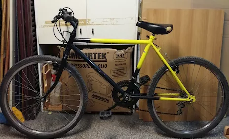 Bicicletta mountain bike da 24