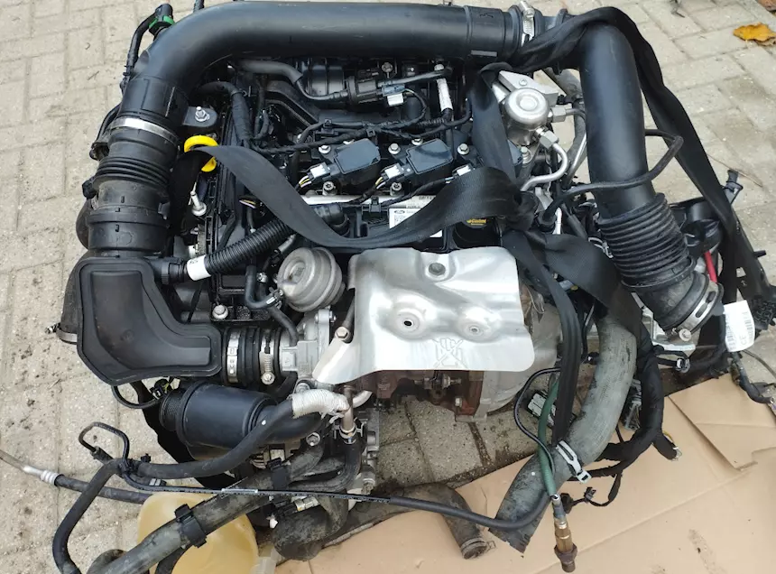 Motore Ford Fiesta 1.0 Turbo Ecoboost 2019 Q0JC