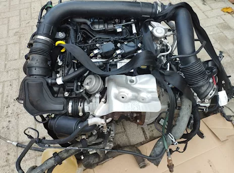 Motore Ford Fiesta 1.0 Turbo Ecoboost 2019 Q0JC - Anteprima 1