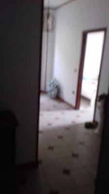 Foto - 10