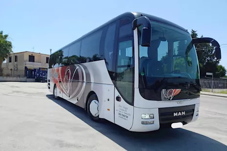Man Lion's Coach