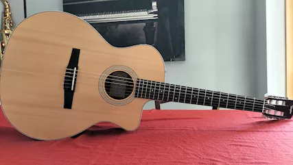 Chitarra classica elettrificata Taylor