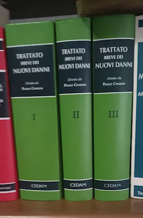 Trattato Breve I Nuovi Danni di Paolo Cendon