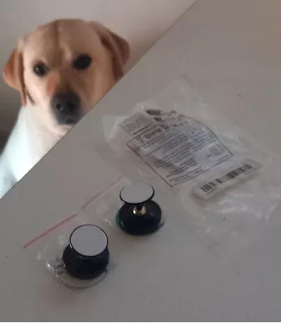 2 supporti per smartphone universali