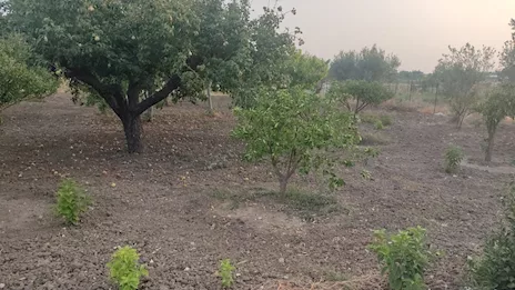 Terreno agricolo recintato con fabbricato a Dattilo