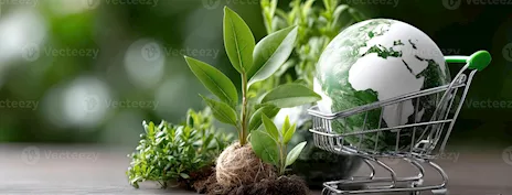 Network Marketing benessere ecogreen