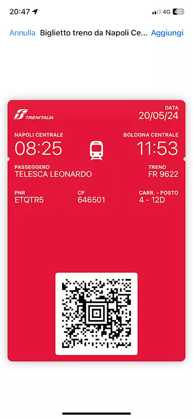 Vedo biglietto treno