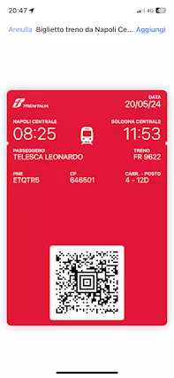 Vedo biglietto treno