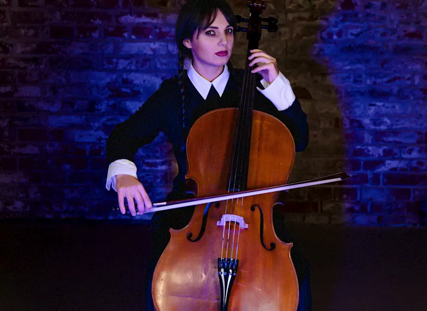 Violoncellista Rozzano