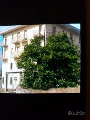 Albergo intera proprietà pellegrino parmense