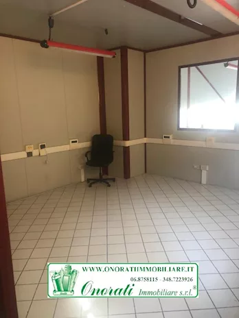 Foto - 11