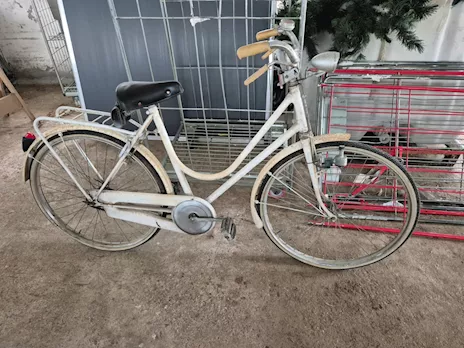 Bicicletta vintage da sistemare