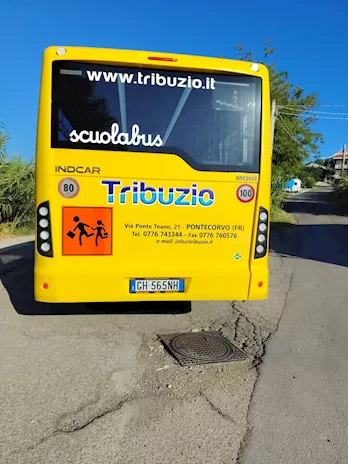 Vendita indcar mobi scuolabus
