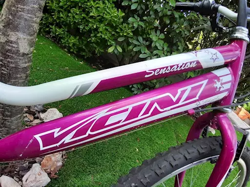 Mountain bike bambina