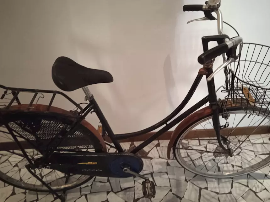 Bici mod. Olandese - Foto 2