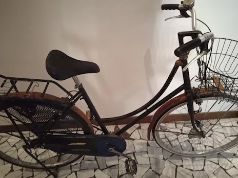Bici mod. Olandese - Foto 2