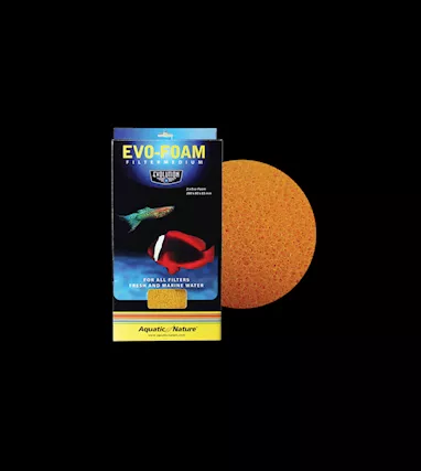 EVO-Foam: Colore che indica la schiuma.