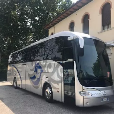 Iveco New Domino HDH 450 CV Euro 5 originale