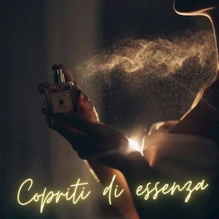 Collaboratore