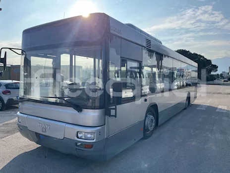 Lion's Classic Euro 5