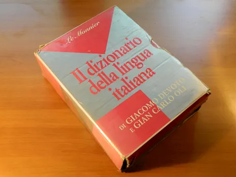 Il Dizionario della lingua