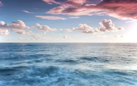 Selezioniamo modelle hostess fiere e congressi